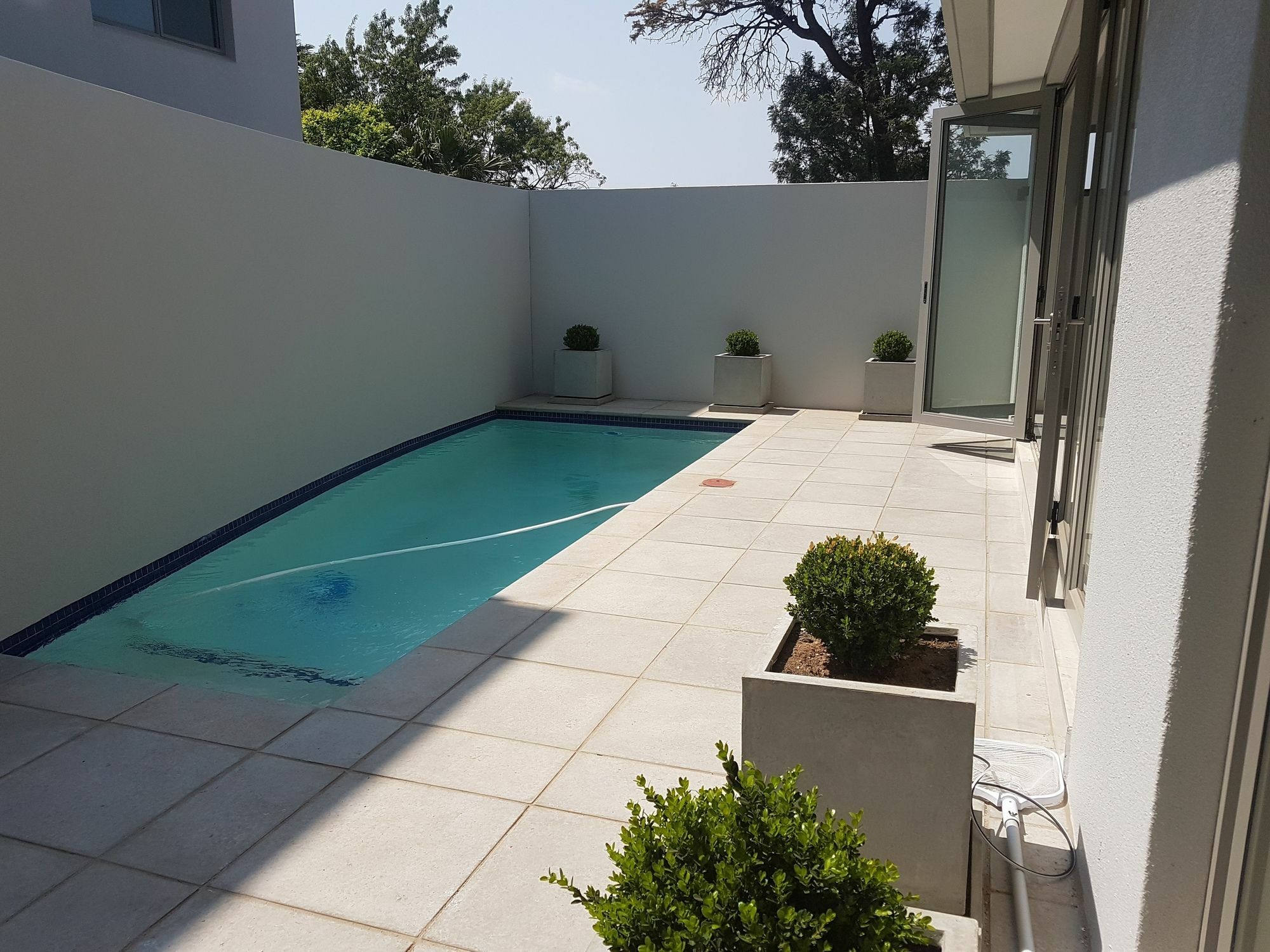 Daisy Place Johannesburg Esterno foto